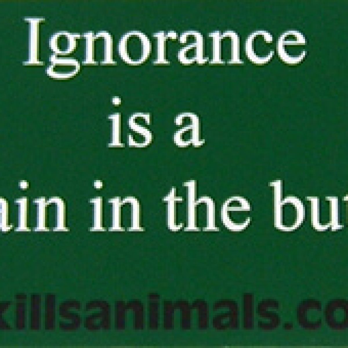 Tania Spencer - Misinformation - billboard "Ignorance is a pain in the butt?"