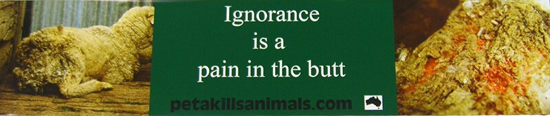 Tania Spencer - Misinformation - billboard "Ignorance is a pain in the butt?"
