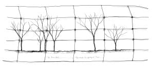 wire artwork showing trees with text
